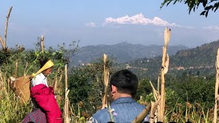 गाउँ घरको मेलापातमा | Armila shrestha| Sulav Shrestha | Bhawana Shrestha | Sharmila Shrestha