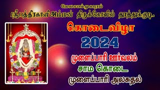 சாமக்கொடை  முளைப்பாரி அலசுதல் பத்திரகாளி அம்மன் கோவில் கொடை விழா2024 தூத்துக்குடி மேல சண்முகபுரம்