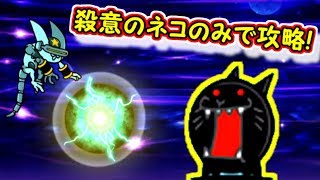 VS フィリバスター 殺意のネコのみ出撃で攻略 宇宙編 第3章　【にゃんこ大戦争】