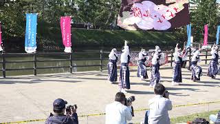 東京よさこい なな丸隊【L→R 4K】／ウォーターフロント会場／YOSAKOIそうか2021～相思草愛～