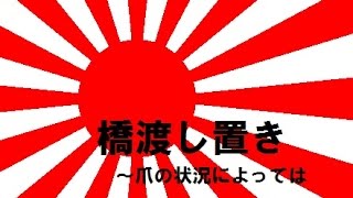 【誰でもできる】クレーンゲーム攻略の基本技動画　爪の状況によっては　アナと雪の女王　Japanese Claw Machine Win