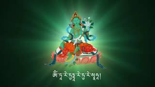 ཨོཾ་ཏཱ་རེ་ཏུཏྟཱ་རེ་ཏུ་རེ་སྭཱཧཱ། ཕུརཔ་བཟངམོ། PHUB ZAM