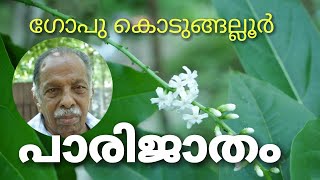 Gopu Kodungallur  Parijatham പാരിജാതം | പവിഴമല്ലിയല്ലപാരിജാതം പരിചയപ്പെടുത്തുന്നു ഗോപു കൊടുങ്ങല്ലൂർ