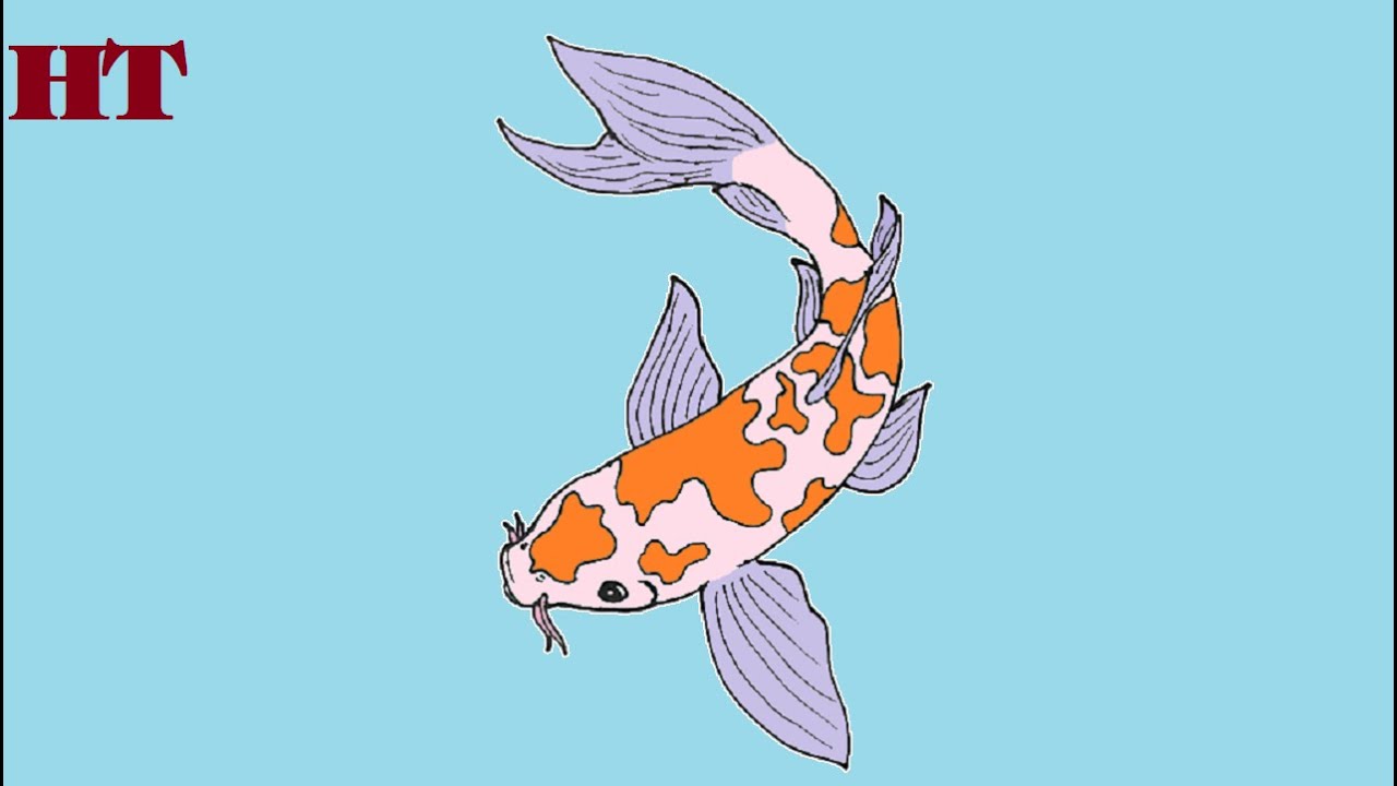 How To Draw A Koi Fish Step By Step | Fish Drawing Easy - YouTube