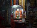 saptashrungi mata🙏#shortvideos #saptashrungimata #trending #youtube #youtubeshorts #youtubeshorts