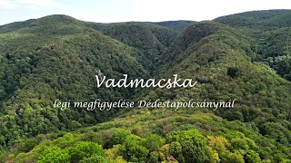 Vadmacska légi megfigyelése Dédestapolcsánynál