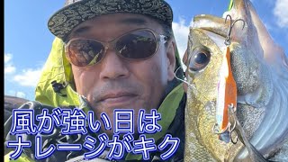 秋のシーバスシーズン到来｡良い魚を釣るには準備が大事……‼️