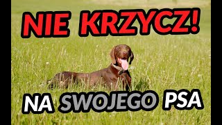 Najczęstsze błędy w prowadzeniu psa!