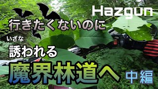 【林道ツーリング】毎度辿り着いてしまう誘いの魔界林道へいざ行かん（中編）EXC250/WR250R/セロ―225W