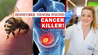 Honeybee Venom Kill Cancer Cells? A2Z Life Hacks