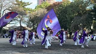 橋本酉の市