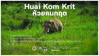 Huai Kom Krit : ห้วยคมกฤต อุทยานแห่งชาติแก่งกระจาน