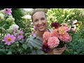 Get More Dahlia Flowers with These Tips!!! Northlawn Flower Farm