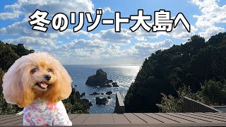 【冬のリゾート大島でキャンプしよう】テントサウナと貸し切り露天風呂で楽しもう！