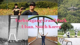 Taehwagang Grand Park (Ulsan, South Korea) in 4K