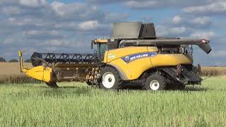 Rapsernte 2018 3x New Holland CR9090 Abfahrer Fendt Deutz