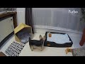 furbo（ファーボ）ドッグカメラの動画｜おやつ（餌）がぽーんと飛び出るよ。