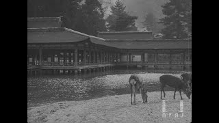 【全篇】『日本三景 安藝の嚴島』1925年｜「フィルムは記録する」より ‘Film IS a Document: NFAJ Historic Film Portal’