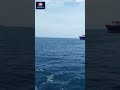 CMA CGM #youtubeshorts #shorts #shortsvideo #nature #ship #lifeatsea #monsteratsea #sailor #mariners