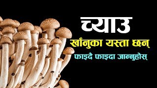 च्याउ खाँनुका यस्ता छन् फाइदै फाइदा, जान्नुहोस्  | Nepali Health Tips