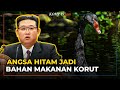 Hadapi Krisis Pangan, Korea Utara Mulai Membiakkan Angsa Hitam