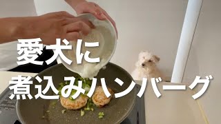 愛犬に煮込みハンバーグ。テリア