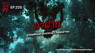 “กาฝาก” อาถรรพ์กาฝากกลางป่า เลือกเจ้าของ [ เรื่องผี ] | นินทาผี EP.225 |