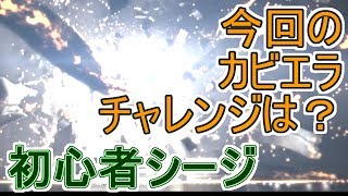 【実況】いまさらレインボーシックスシージを買った男。【40】