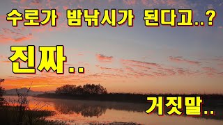 어깨가 아파서 병원가야겠어요/쌍권총/전남해남군/금자천/대명수로/밤낚시/월척붕어/허리급붕어/옥수수/밑밥/거담피싱TV/붕어낚시/수초낚시/BFD/대어를꿈꾸다/대물낚시/거담김기용/붕어