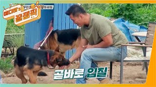 [#개는훌륭하다] 강형욱 물리다? 점점 심해지는 셰퍼드 장미의 입질! 🐶ㅣ KBS 210913 방송