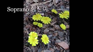 사랑(이은상 시,홍난파 곡) - 형진미 소프라노 /복수초(福壽草)