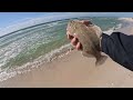 how to catch tons of flounder in the surf tips tricks u0026 lures