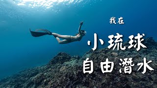 小琉球Vlog | Aida2自由潛水三天兩夜課程  #小琉球#海龜#美人洞#自由潛水#AIDA2#海龜#綠蠵龜#小琉球自潛