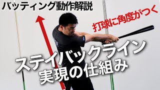 【バッティング動作解説】打球に角度をつけるステイバックライン実現の仕組み【前田健 野球動作Q\u0026A Live】