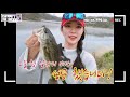 알자리 배스 서두르세요 spawning bass hurry 낚시 배스낚시 배스 bass. fishing. 釣り.