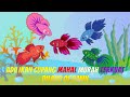 MOBILE LEGENDS ANIMATION | ADU IKAN CUPANG