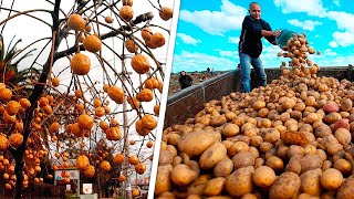 You Can't Even Imagine How These 15 Products Grow