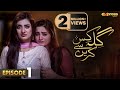 Pakistani Drama | Gila Kis Se Karein - Episode 1 | Express TV Gold | Aiman Khan, Asim Mehmood