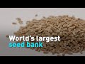 World’s largest seed bank