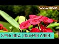 ከእንስቶች ዓለም ክፍል 1 እመት ሲቲ ዘቡራ ማን ናቸዉ በኡስታዛህ ሰዓዳህ @nisaulmesharietube3513