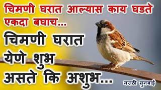 Sparrow Bird Signs | चिमणी घरात येणे शुभ असते कि अशुभ ||  चिमणी घरात आल्यास काय घडते #Sparrow