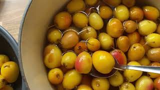 เก็บผลไม้ป่ามาแช่อิ่ม PICKING WILD FRUIT TO PRESERVE