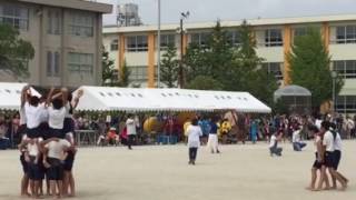 松原石取祭りin富洲原小学校運動会