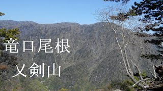 又剣山から竜口尾根