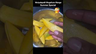 Mutyalapalli Mogalture Mango Summer Special #mango #summer #bangenapalli #godavari #mogalture #5k