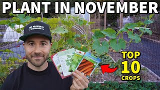 The Top 10 Vegetables You Can STILL Plant In NOVEMBER Right Now!