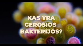 Kas yra gerosios bakterijos? @BioAgna