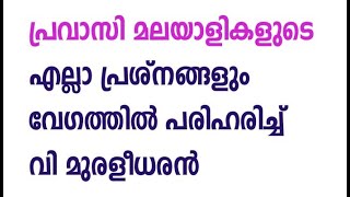 പ്രവാസി മലയാളികളുടെ എല്ലാ പ്രശ്നങ്ങളും വേഗത്തില്‍ പരിഹരിച്ച്  വി മുരളീധരന്‍