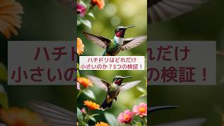 【動物雑学AI】ハチドリはどれだけ小さいのか？驚異的な能力を秘められた5つの検証！ #shorts