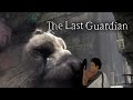 The Last Guardian - Meet Trico!